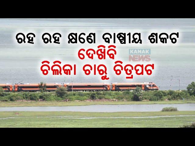 Watch: Brahmapur-Tata Vande Bharat express Passing At Chilika Lake On Its Trial Run