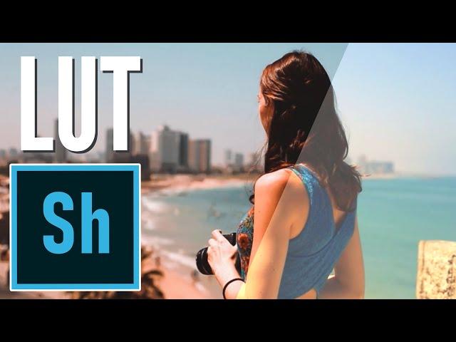 Using LUT .cube files in Shotcut