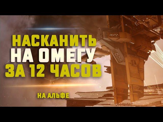 EVE Online. НАСКАНИТЬ ОМЕГУ ЗА 12 ЧАСОВ ИЛИ РАЗЫГРАЮ ОРКУ. Сможем?