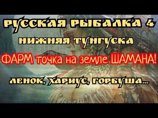 РР4. река Нижняя Тунгуска. ФАРМ на Земле Шамана. Где можно ловить Ленок, Хариус, Горбуша, Форель.