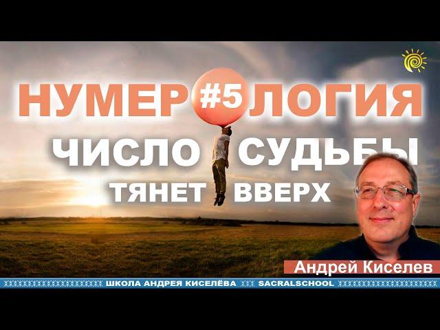 Нумерология. Число судьбы тянет вверх - Андрей Киселев