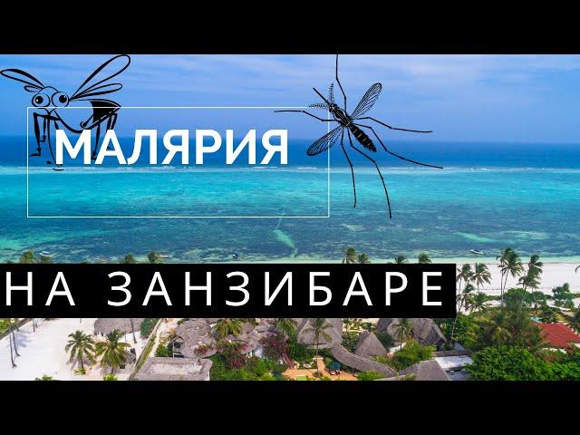 МАЛЯРИЯ на  ЗАНЗИБАРЕ   есть  или нет?