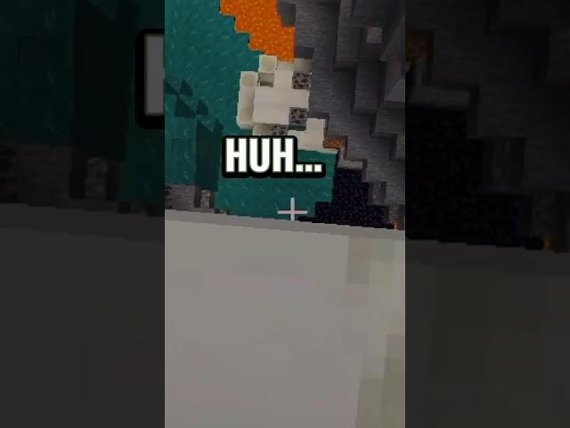 Minecraft Rarest Moments