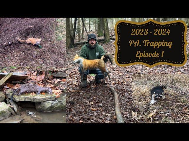 2023-2024 PA. Trapping Season (trapping predators to save the turkey)