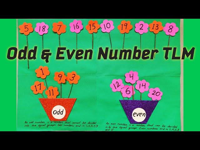 Easy Maths TLM | Odd And Even Number TLM | Primary School Maths Project |