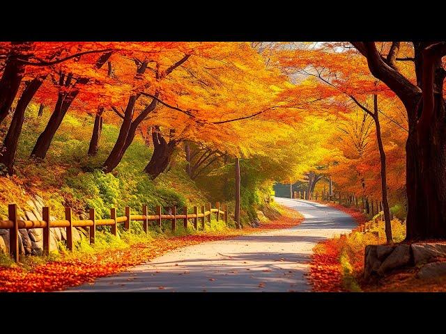 Autumn Melody Of Love  October Autumn Gentle Music Restores The Nervous System Satisfies The Soul