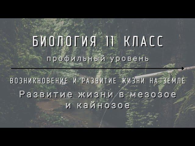 Биология 11 кл Теремов §29 Развитие жизни в мезозое и кайнозое