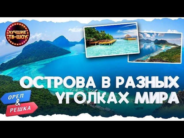 ПОТРЯСАЮЩИЙ ОТДЫХ НА ТИХООКЕАНСКИХ ОСТРОВАХ | ОРЕЛ И РЕШКА |ЛУЧШИЕ ТВ-ШОУ