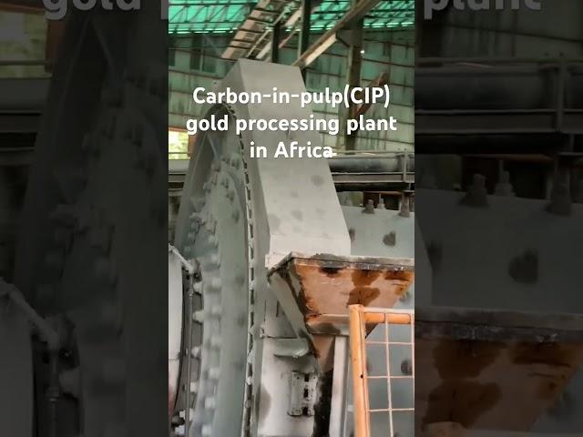 Carbon in pulp (CIP) gold processing plant #activatedcarbon #CIP #gold processing