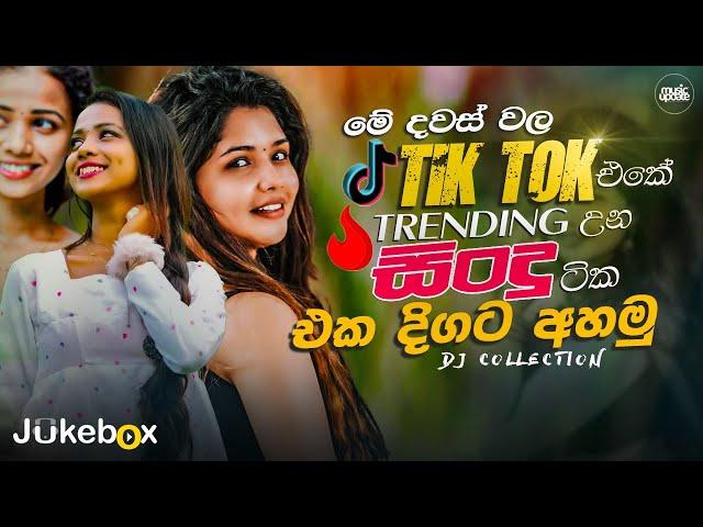 2024 TikTok Viral Songs (ටික් ටොක් හිට් උන අලුත්ම ටික) Best TikTok Trending Songs playlist (2024)