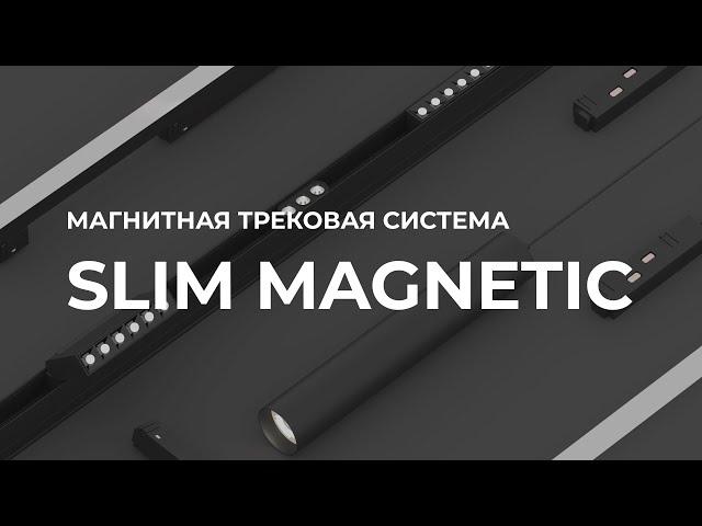 Трековая система Slim Magnetic Elektrostandard