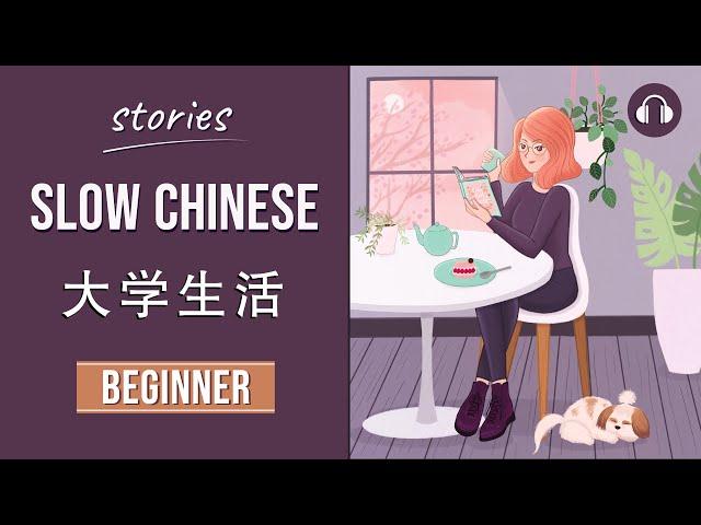 大学生活 | Slow Chinese Stories Beginner | Chinese Listening Practice HSK 2/3