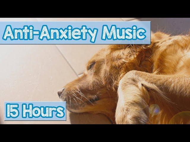 Calming Music for Puppies with Anxiety! Soothing Lullabies for Anxious and Stressed Dogs! (Tested)