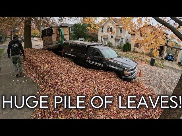 3 Man Fall Cleanup || Huge Dusty Leaf Pile!