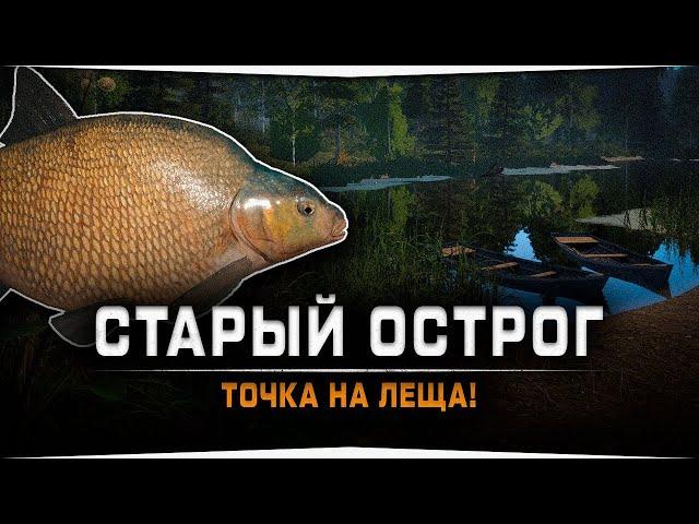 Играем в Русская  рыбалка 4 (Russian Fishing 4)