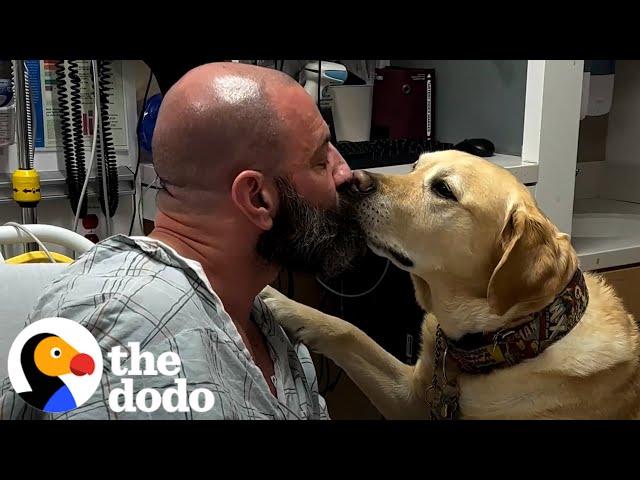 Dog Refuses To Leave His Dad's Hospital Bed | The Dodo