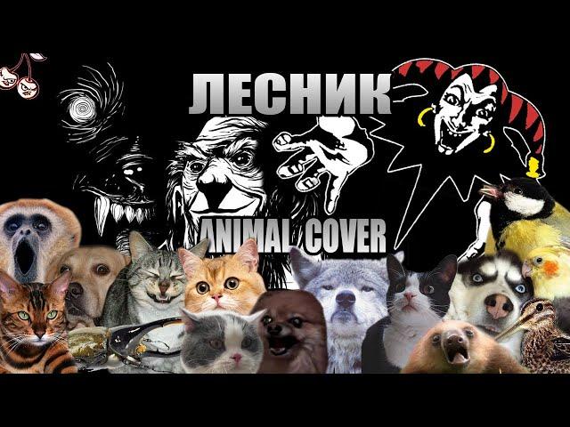 Король и Шут - Лесник (Animal Cover)