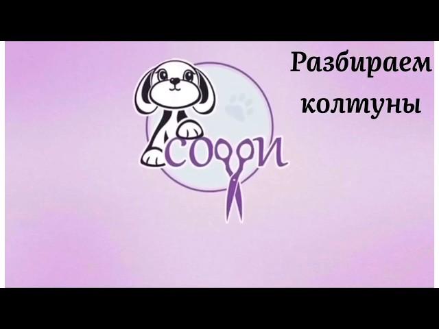 Как распутать колтуны у собаки