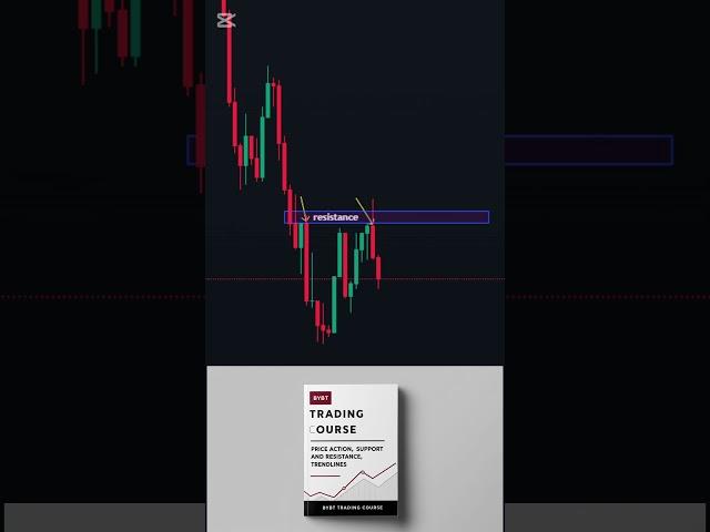 The Best Forex Trading Tips for Beginners