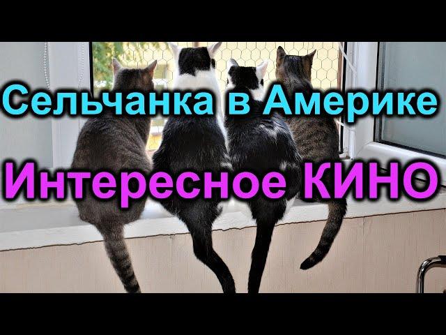 Сельчанка в Америке. Интересное КИНО