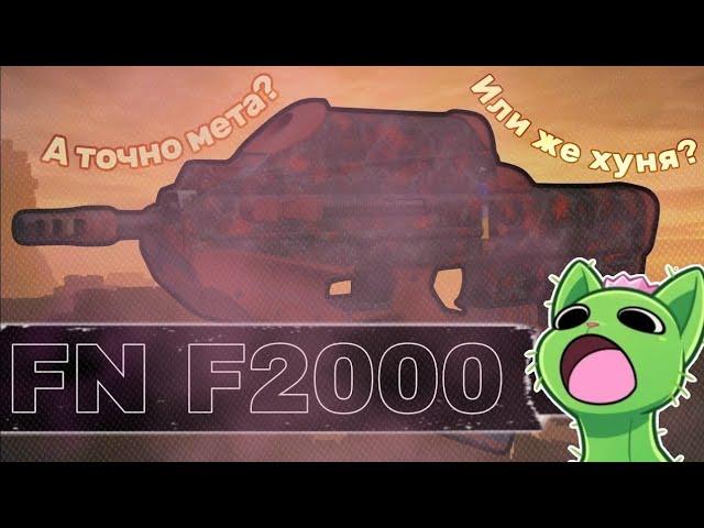 FN F2000 - ОТСУТСТВИЕ ОТДАЧИ И КОМФОРТ! ОБЗОР НА ФН 2000 || STALCRAFT