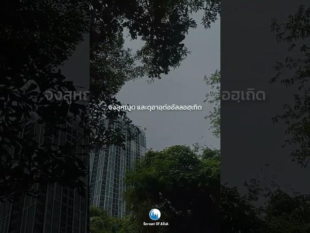 เมื่อใดที่ต้องเผชิญกับบททดสอบ#บททดสอบ #อดทน #ดุอาอฺ #อิสลามคือการตักเตือน #ServantOfAllah