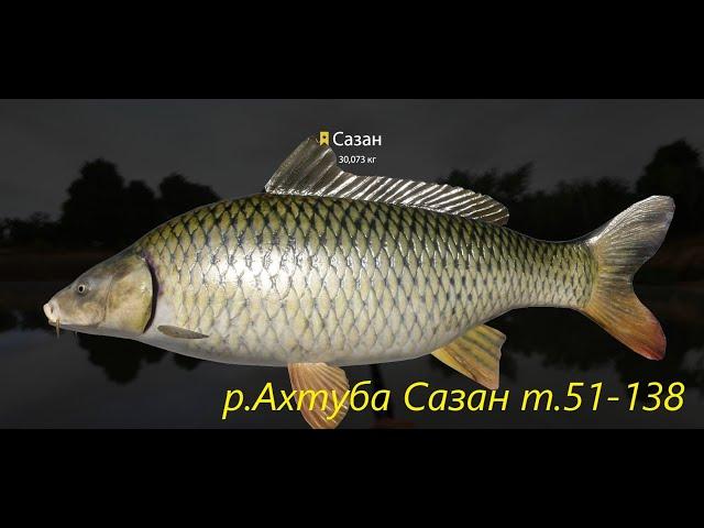 Russian Fishing 4 /Русская рыбалка 4 ▶ р.Ахтуба Сазан и Толстолобик