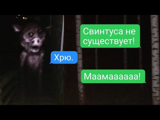 свинтус пришёл за мной