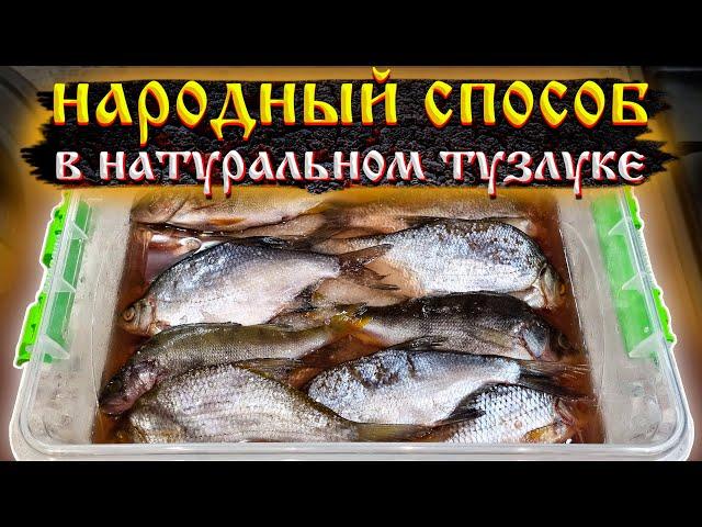 Как солить рыбу. Натуральный тузлук. Засолка речной рыбы.