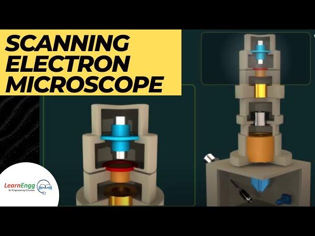 How Scanning Electron Microscope works? | Engineering Videos | Animation #LearnEngg #Microscope