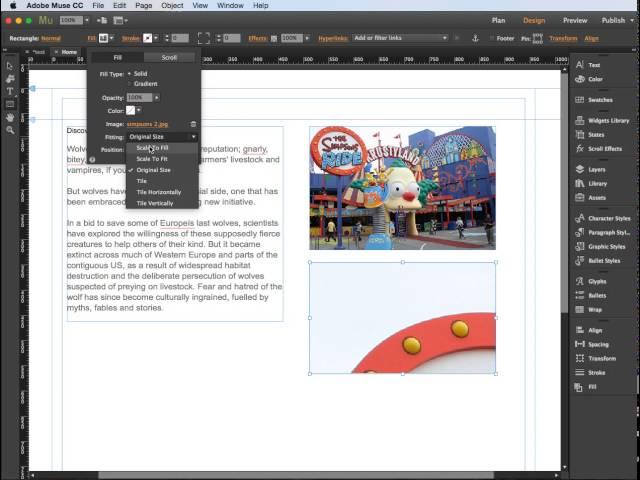 Adobe Muse - adding images