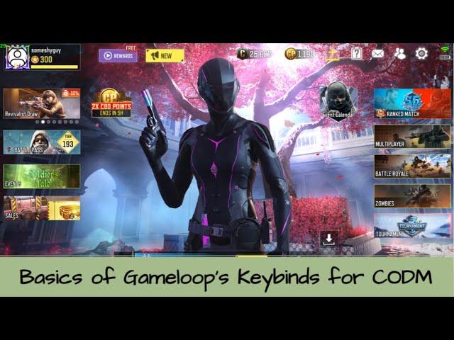 Someshyguy's 2024 Gameloop Key bind Guide