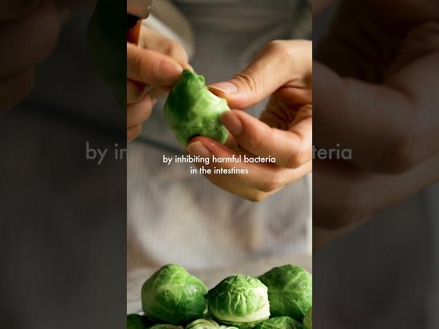 PREVIEW | THE BENEFITS OF BRUSSELS SPROUTS