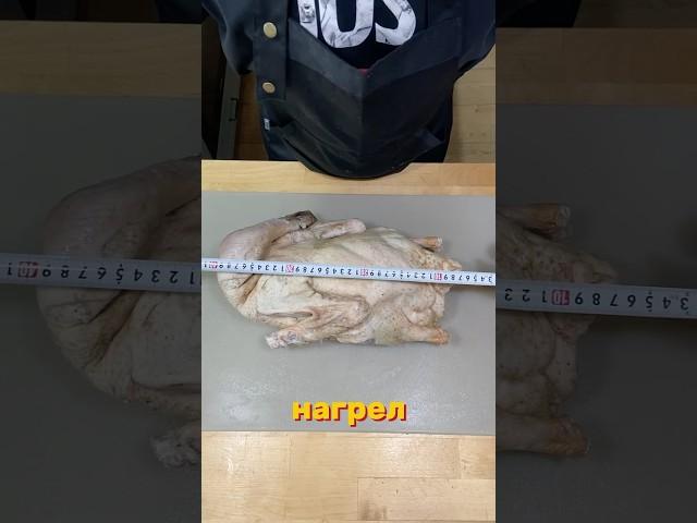 Гусь который получиться мягким. Маринад и Рассол.