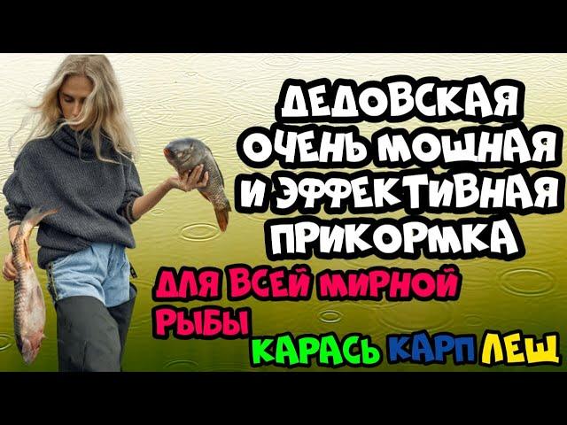 Забытая, но очень мощная и эффективная приманка прикормка для плотвы и всей мирной рыбы