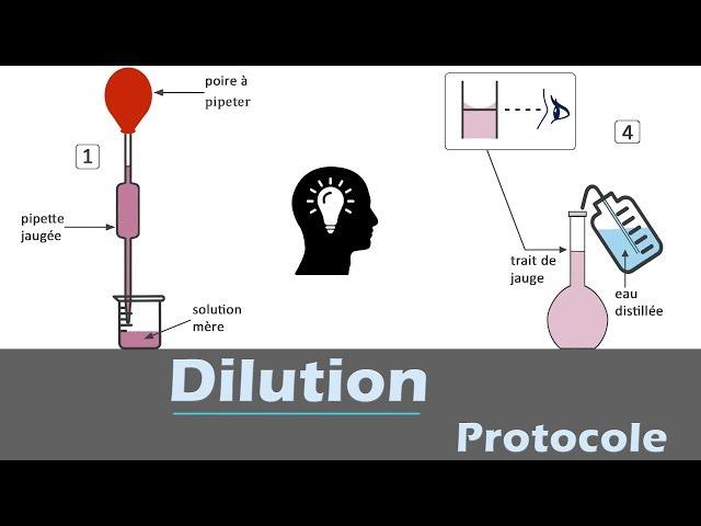 Dilution -  Protocole | chimie