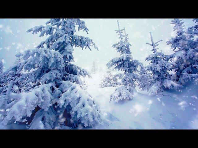 Winter Storm White Noise | Sleep, Study or Focus with Wind & Snowstorm Sounds | 10 Hours