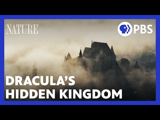 Dracula's Hidden Kingdom | PBS Nature Documentary