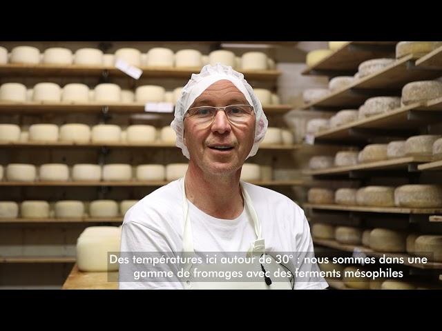 Fromage à pâte pressée non cuite { Rencontre didactique }