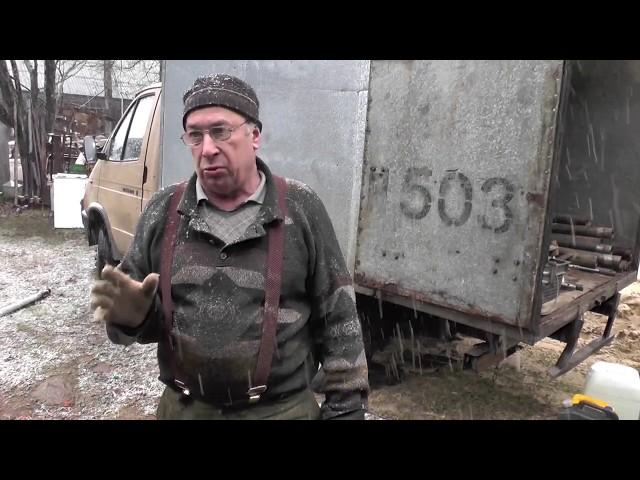 Абиссинка в Ивановской обл