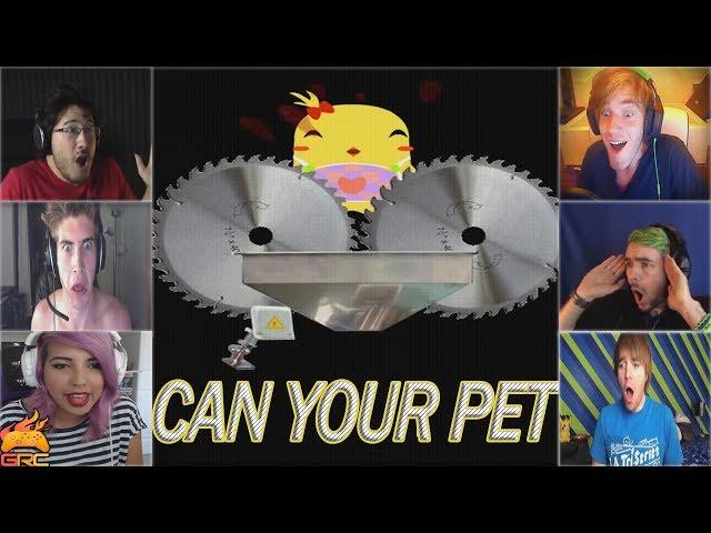 Gamers Reactions to the Ending (Part 1) | Can Your Pet