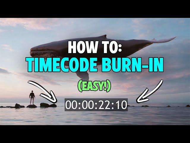 How to Add a Timecode in Premiere Pro 2024 | QUICK & EASY