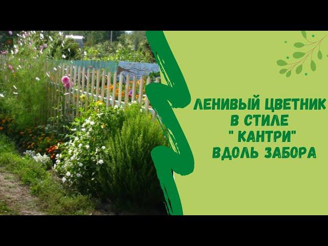 Ленивый цветник в стиле " Кантри" вдоль забора