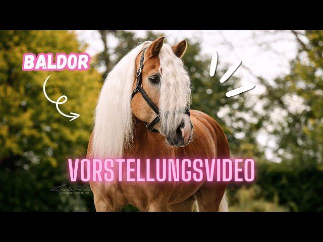 MEIN NEUES PFERD - VORSTELLUNGSVIDEO 