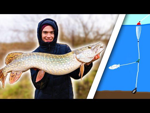 How To Catch Big River Pike - The Paternoster Rig