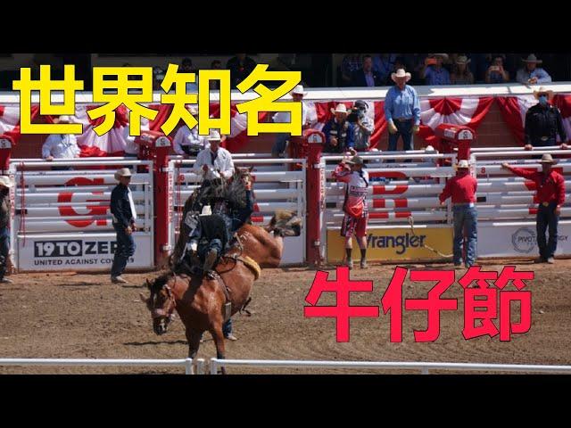 Calgary  stampede 2021 ~ 疯狂的“牛仔競技比賽（Rodeo)”