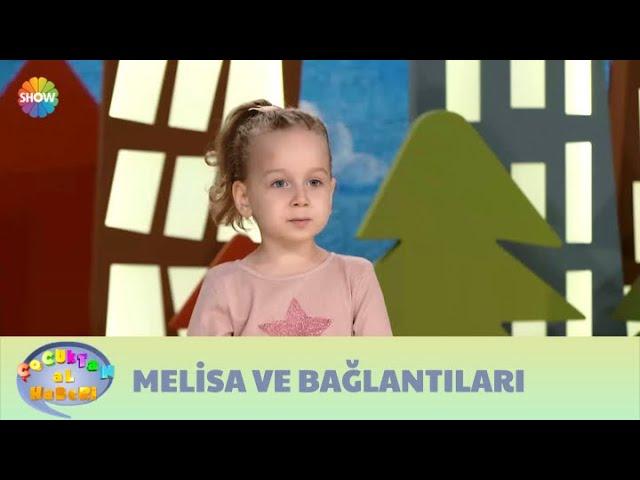 Melisa ve bağlantıları