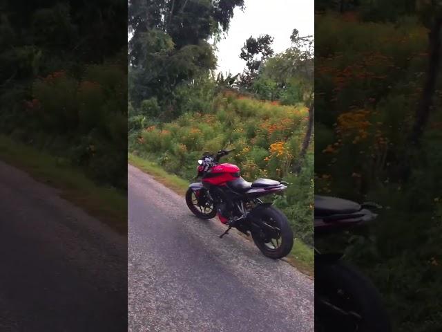 Fully modified ns 200bs4 #akrapovic #ns200bs4 #loud #ns200 #shorts #motovlog #subscribe #viral