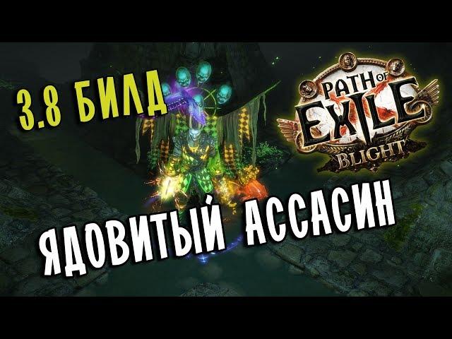 Убийца Круг Яда (Venom Gyre)  Мой стартовый билд Скверны  Path of exile 3.8 (Blight 3.8)