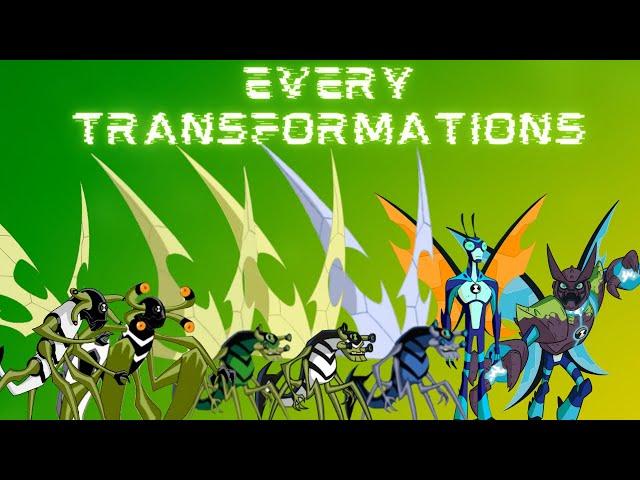 EVERY STINKFLY TRANSFORMATIONS